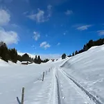 Beautiful Swiss With Breathtaking Views And A Sauna Шале Riein