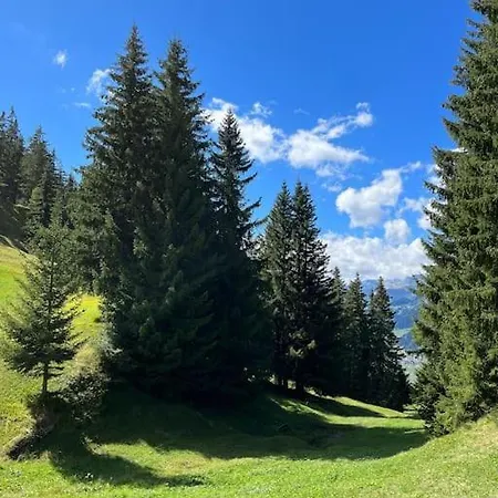 Beautiful Swiss With Breathtaking Views And A Sauna * Riein