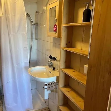 Beautiful Swiss With Breathtaking Views And A Sauna * Riein
