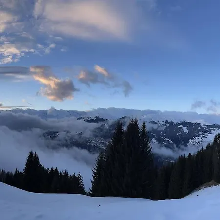 Beautiful Swiss With Breathtaking Views And A Sauna *