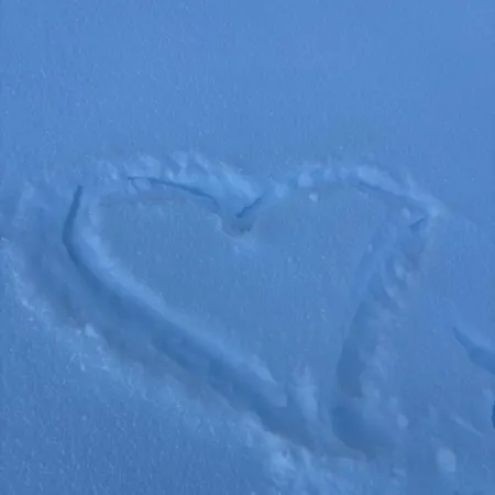 Chalet Beautiful Swiss With Breathtaking Views And A Sauna