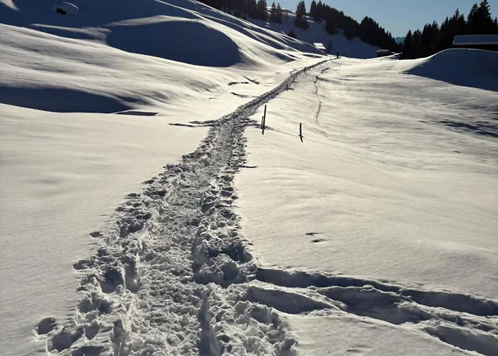 Beautiful Swiss With Breathtaking Views And A Sauna *