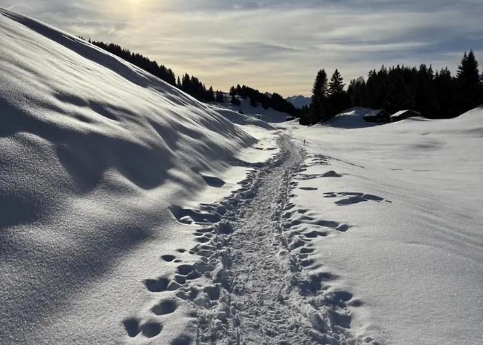 Chalet Beautiful Swiss With Breathtaking Views And A Sauna Riein