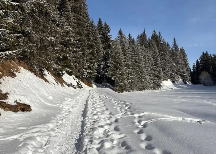 Beautiful Swiss With Breathtaking Views And A Sauna Chalet *