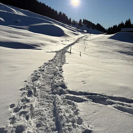 Beautiful Swiss With Breathtaking Views And A Sauna *