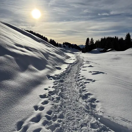 Chalet Beautiful Swiss With Breathtaking Views And A Sauna Riein