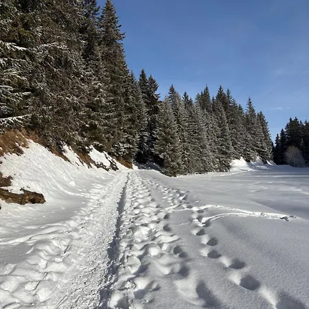 Beautiful Swiss With Breathtaking Views And A Sauna Chalet *