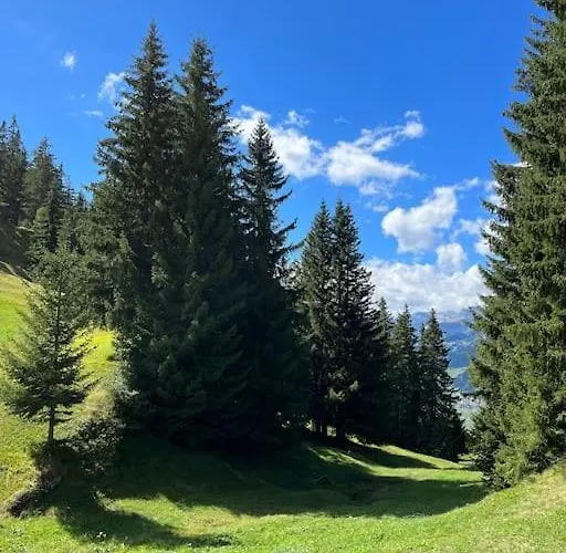 Beautiful Swiss With Breathtaking Views And A Sauna * Riein