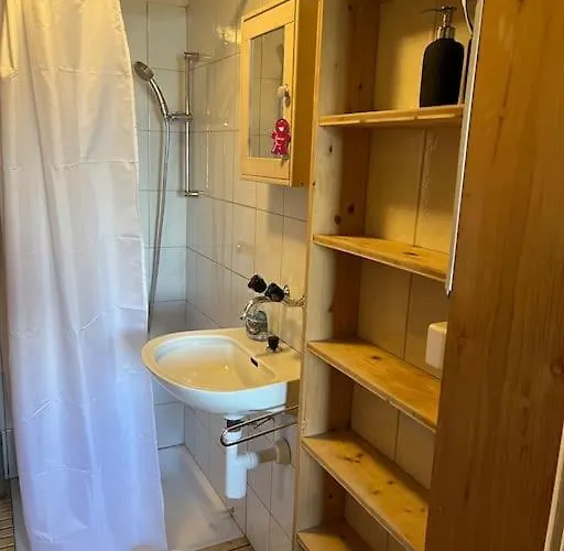 Beautiful Swiss With Breathtaking Views And A Sauna * Riein