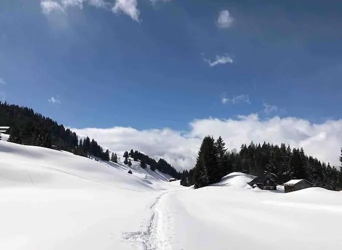 Beautiful Swiss With Breathtaking Views And A Sauna