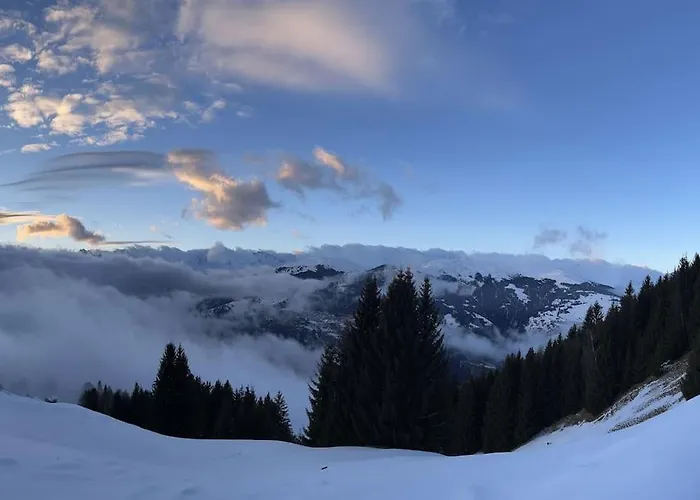 Beautiful Swiss With Breathtaking Views And A Sauna *