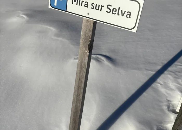 Beautiful Swiss With Breathtaking Views And A Sauna