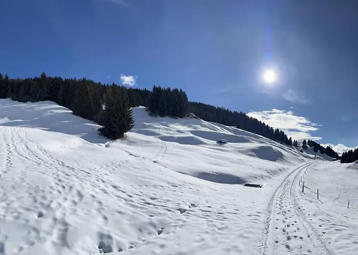 Beautiful Swiss With Breathtaking Views And A Sauna Шале